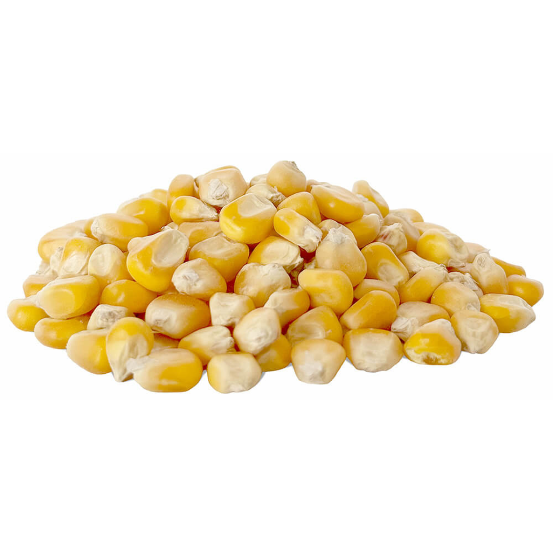 Avigrain Whole Corn 20KG