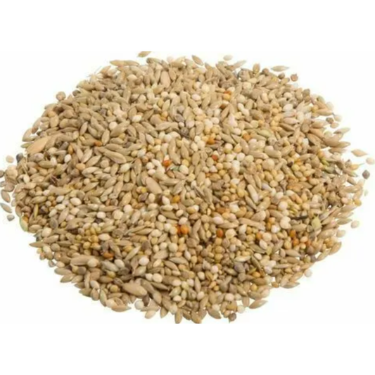 Avigrain Wheat