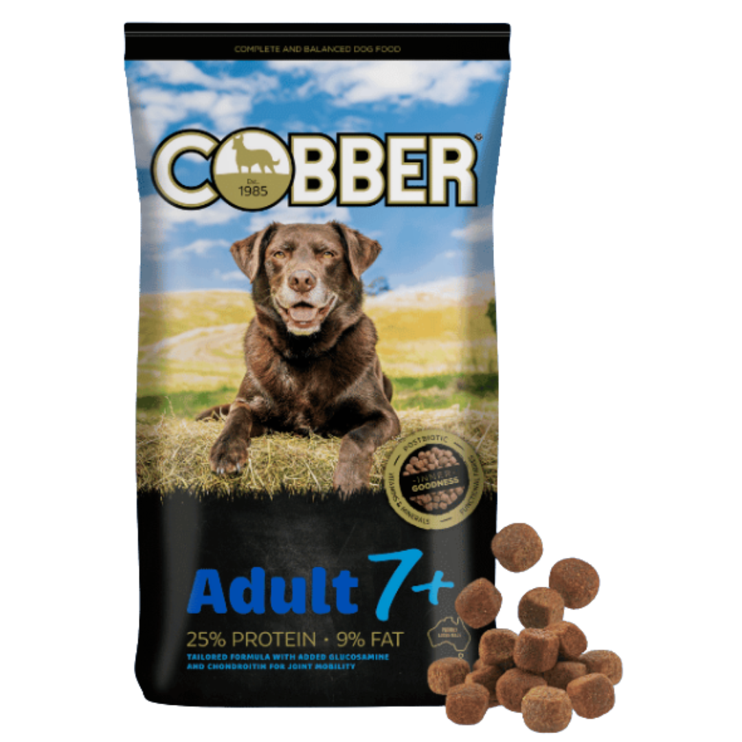 Cobber Adult 7+ 20KG