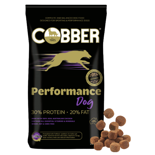 Cobber Performance Dog 20KG