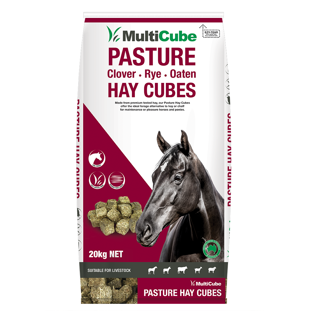 Multicube Pasture - Clover, Rye & Oaten Hay Cubes 20KG