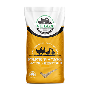 Vella Free Range Layer Breeder