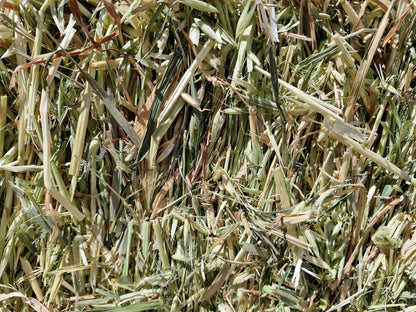 Oaten Hay - Fresh Cut