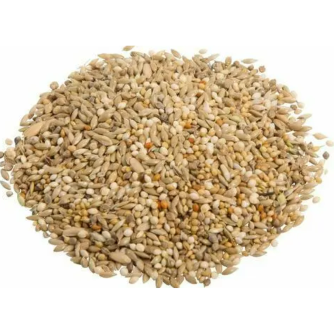 Avigrain Wheat