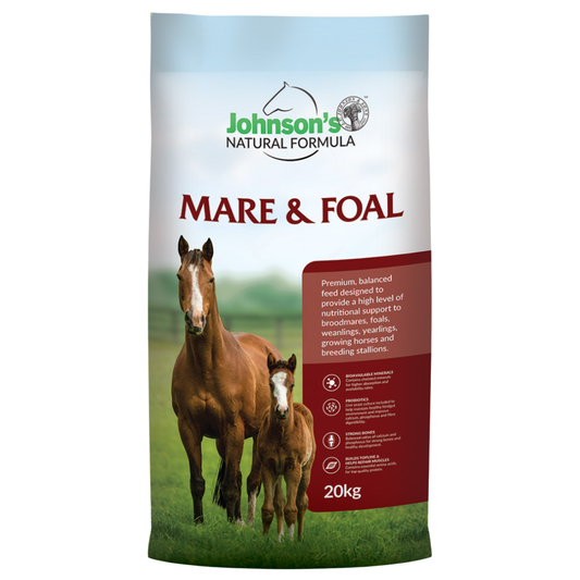 Johnson's Mare and Foal