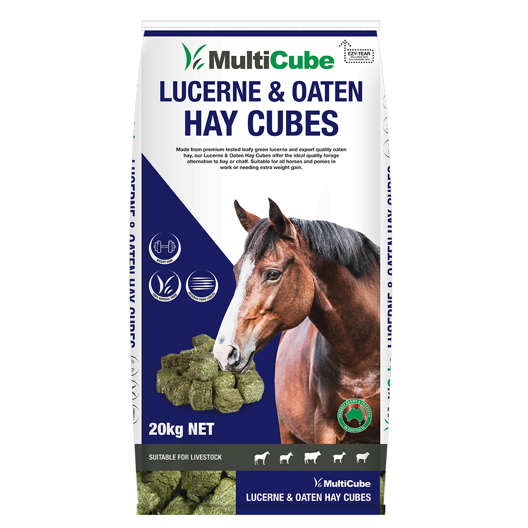 Multicube Lucerne & Oaten Hay Cubes 20KG