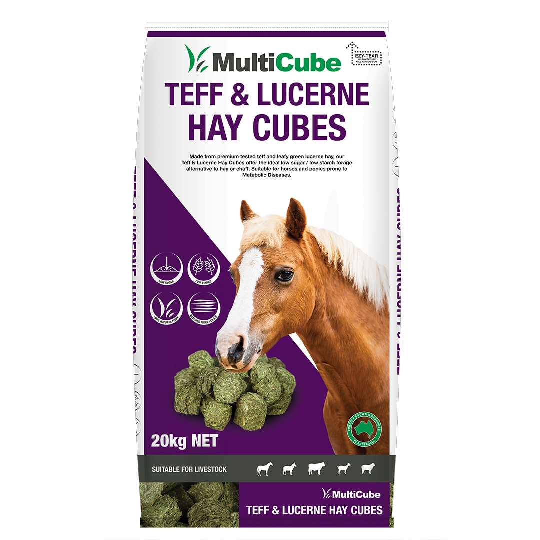 Multicube Lucerne Teff Cubes 20KG