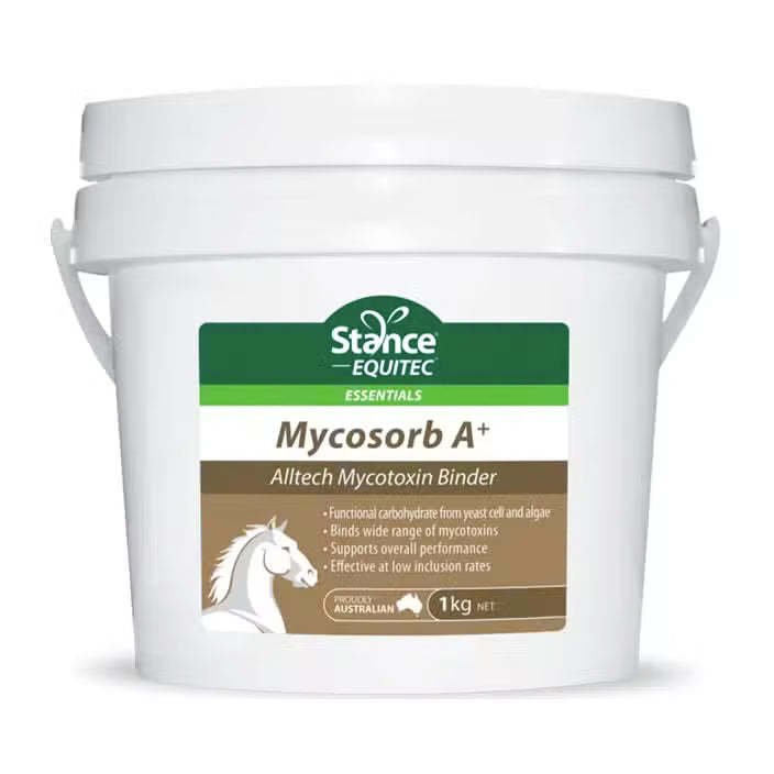 Stance Essentials Mycosorb A+ 2KG