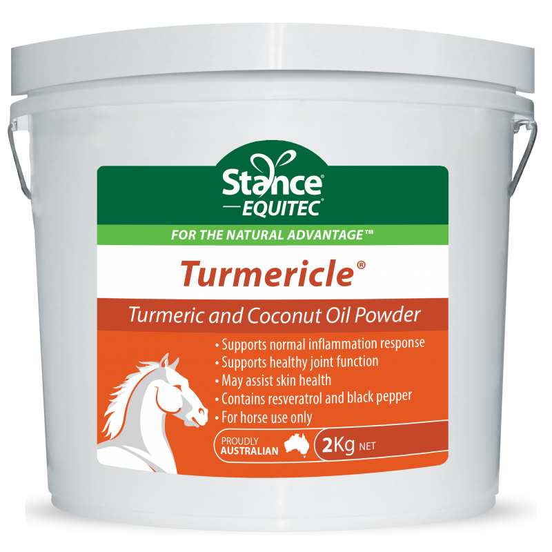 Stance Equitec Turmericle 2KG