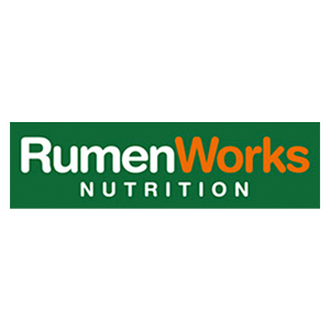 RumenWorks